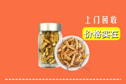 收购资讯:合肥市庐阳回收散虫草
