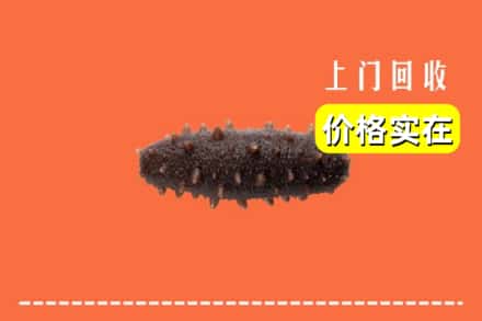 收购资讯:合肥市庐阳回收海参